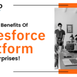 Amazing Benefits Of Salesforce Platform For Enterprises