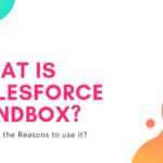 What is Salesforce Sandbox? What are the Reasons to use it?