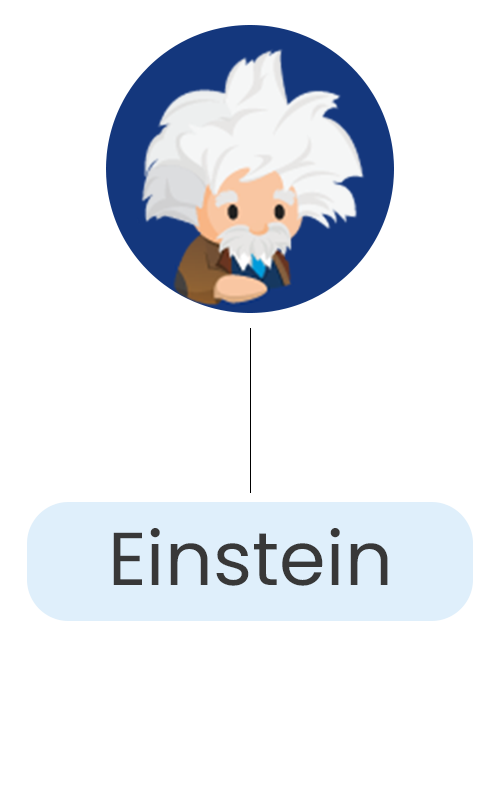 Einstein 2