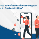 When does Salesforce Software Support spill over to Customization?