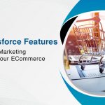 D Top Salesforce Features for the Next Marketing Strategy of Your ECommerce Business 0 1